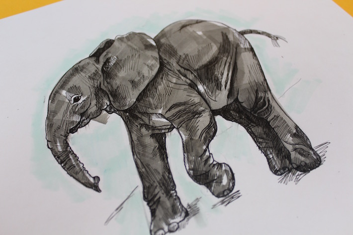 Learn how to drawn an elephant with this tutorial