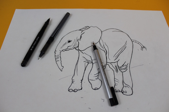 Elephant drawing outlined in pen