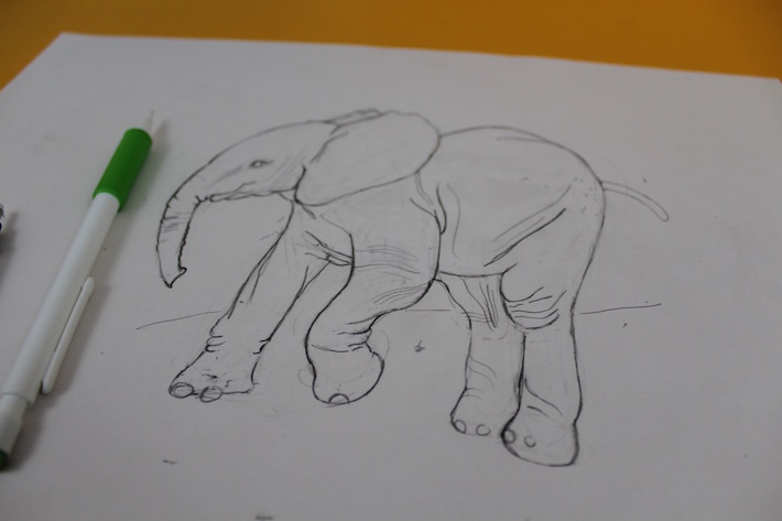 Refined elephant drawing