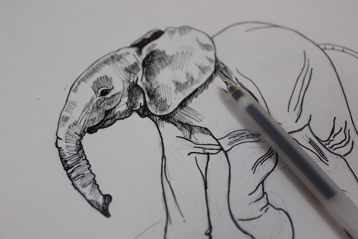 Elephant shading with a fine pen