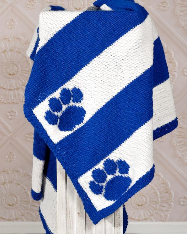 Team Spirit Afghan Knitting Pattern