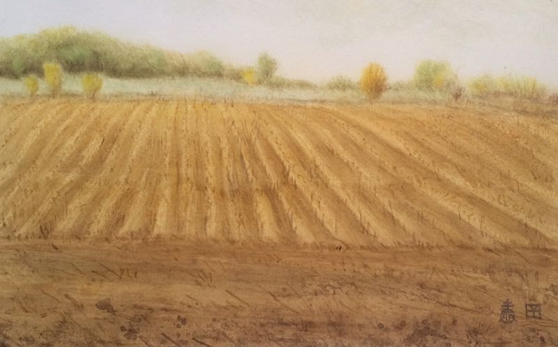 Cornfield Dry Brush Landscape by Kateri Ewing