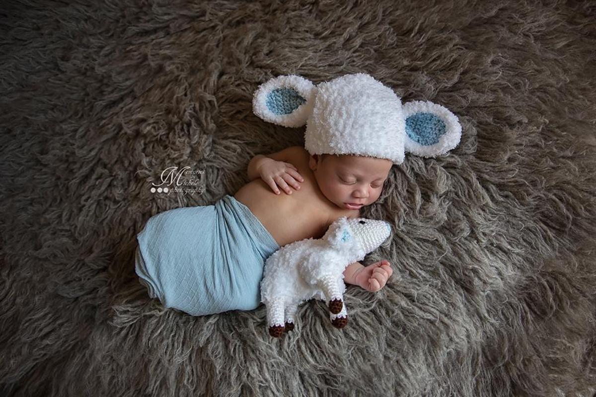 Newborn Lamb Hat and Toy Crochet Pattern