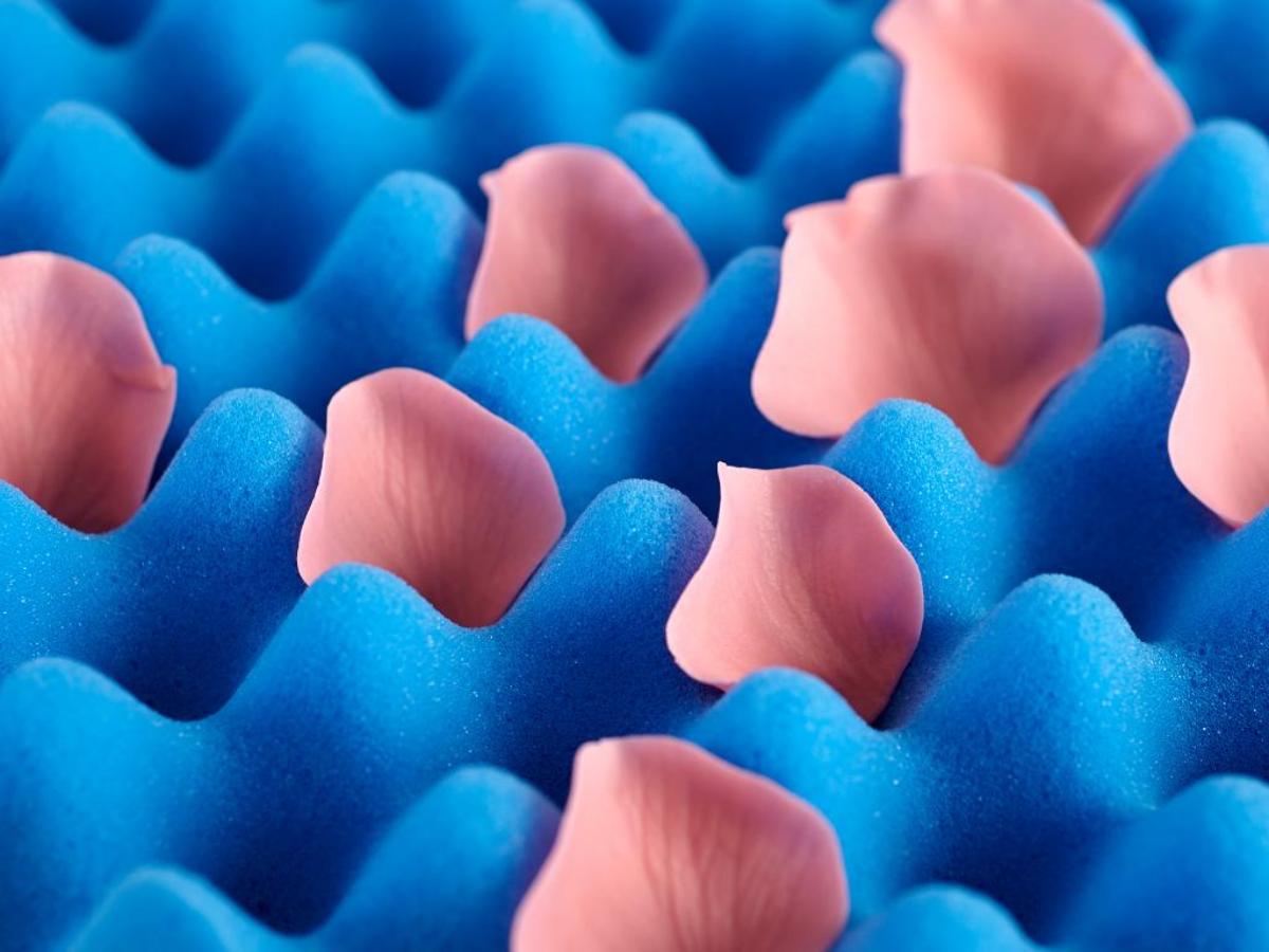 Sugar Flower Petals Drying