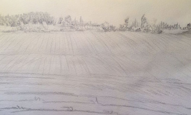 Sketch of Cornfield Landscape