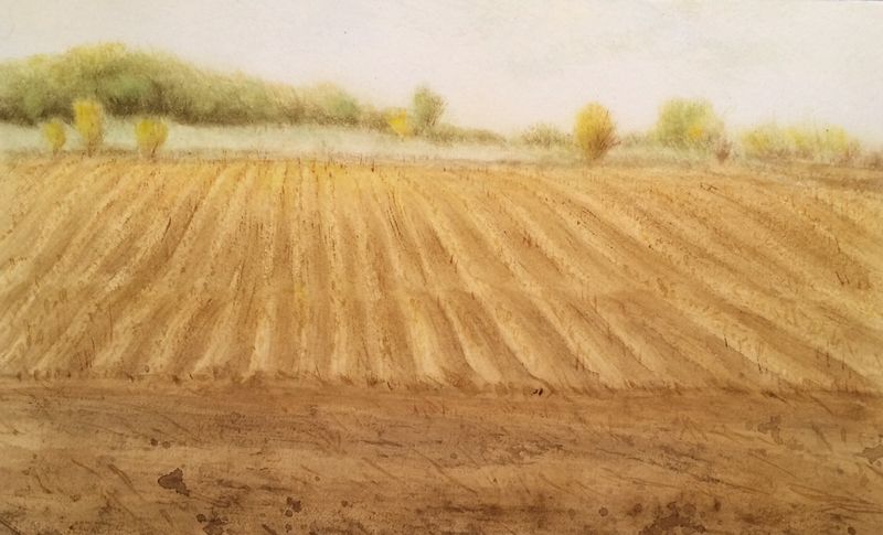 Detailed Cornfield Landscape Painting