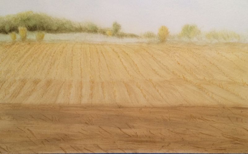 Cornfield Landscape Painting Halfway Through