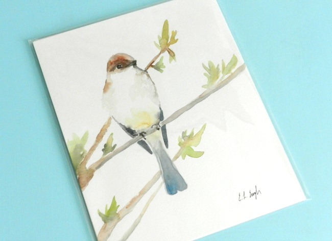 packaged bird painting