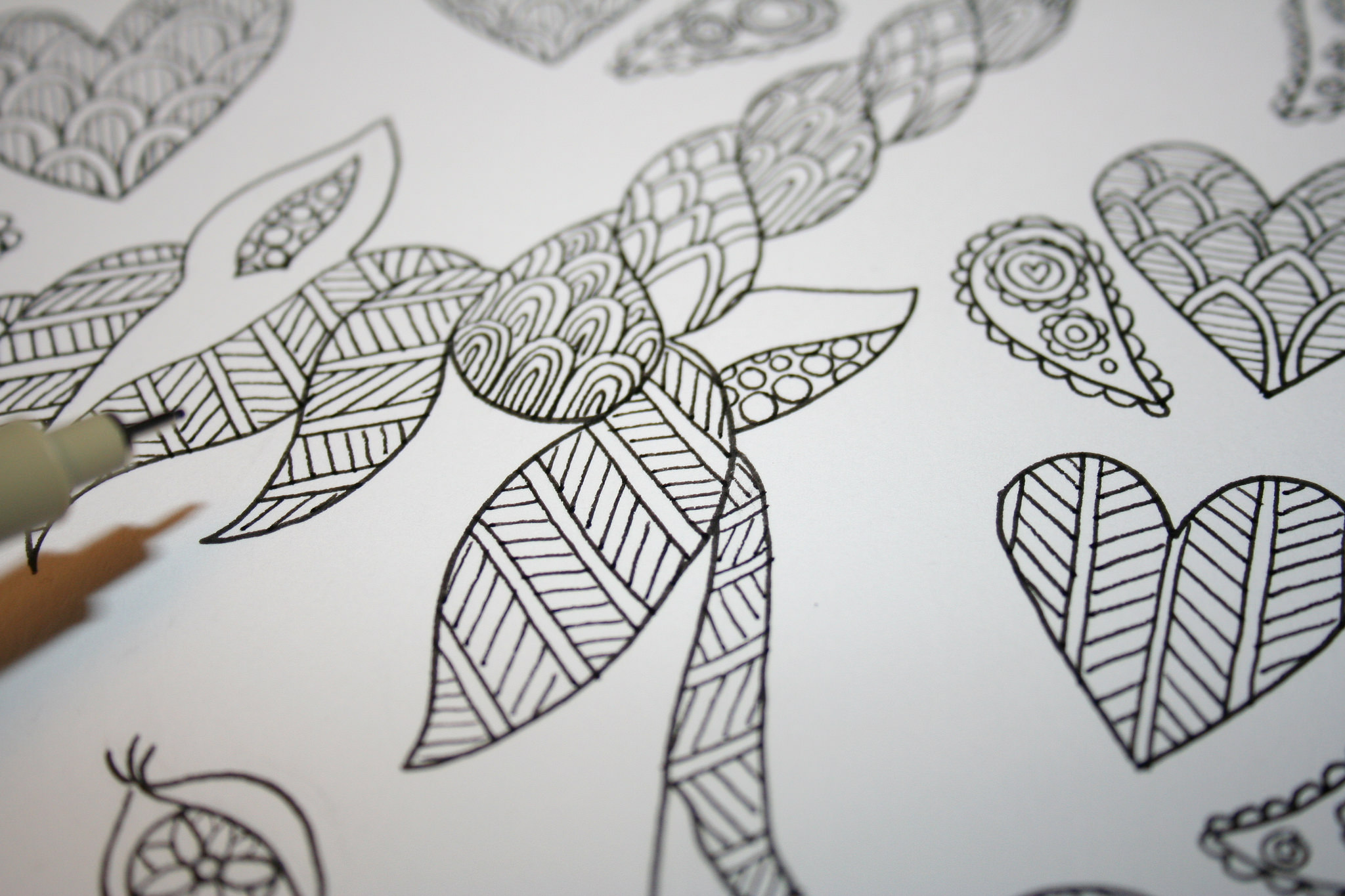 Drawing daily practice