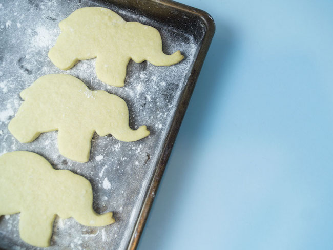 Elephant Sugar Cookies