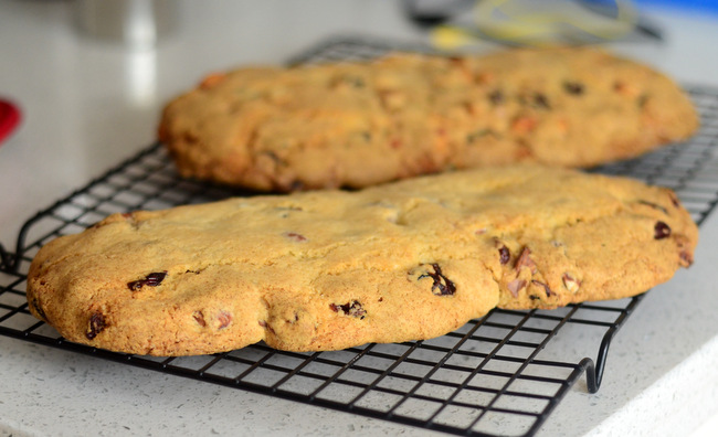 Shaping Biscotti Cookie Dough