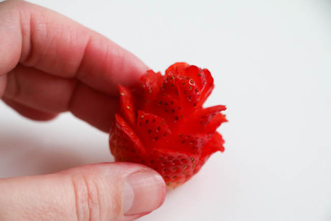 Finished Strawberry Rose | Erin Gardner | Bluprint