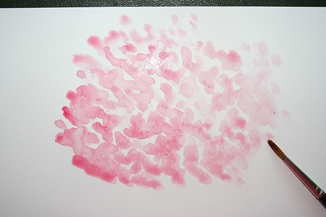 More blossoms