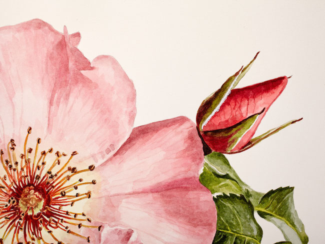Bluprint Spring Spotlight Challenge