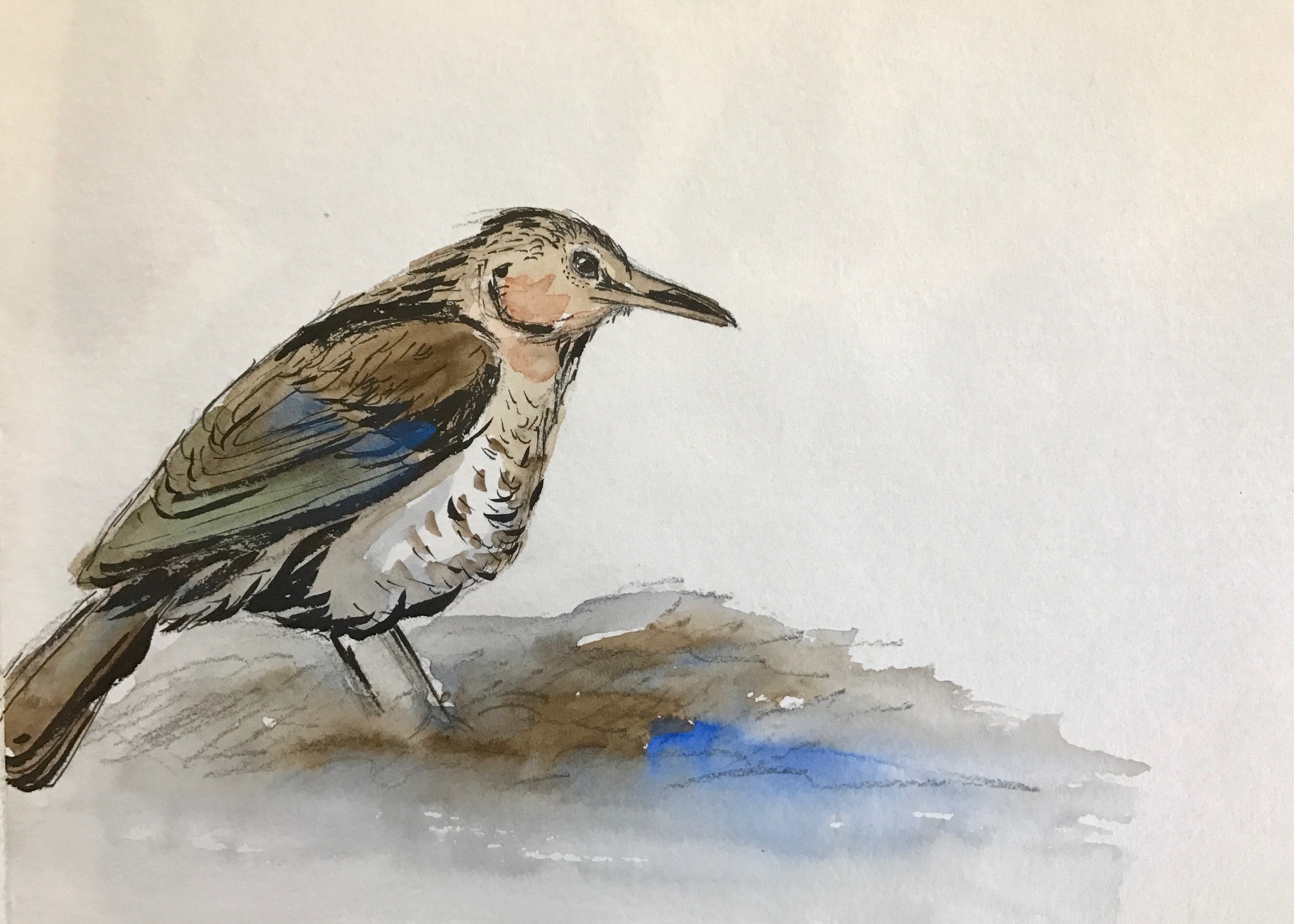 Bird Watercolor Painting
