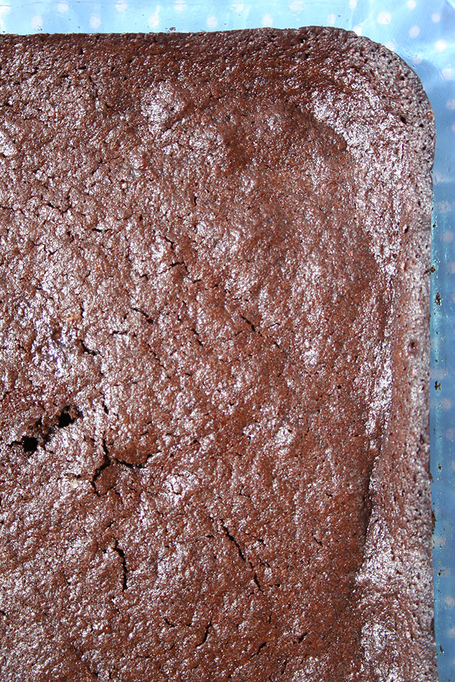 Just baked almond flour brownies