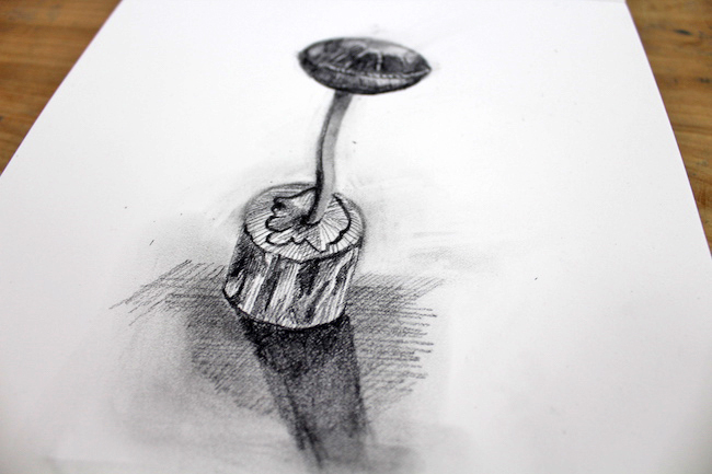drawing with a combination of sketching techniques
