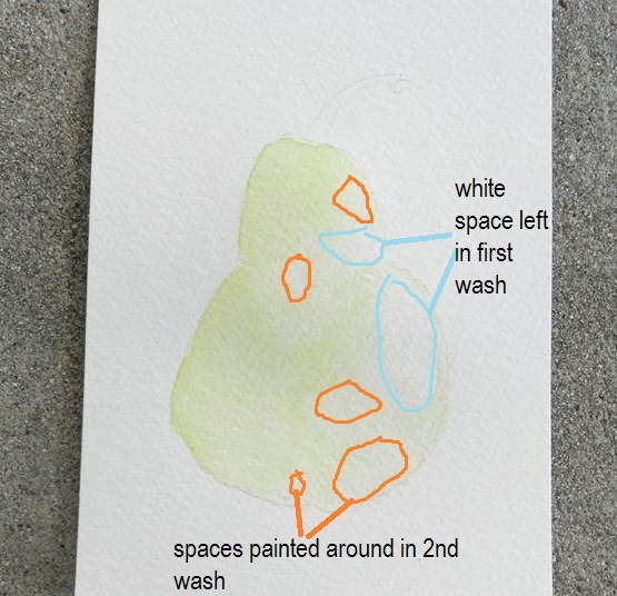 Planning a Watercolor Painting