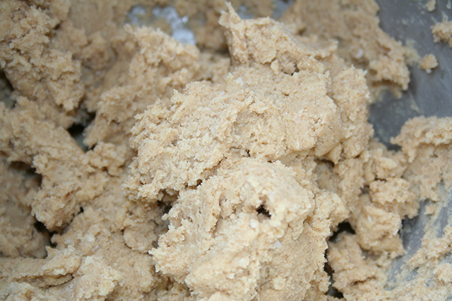 Soft Fig Newton dough