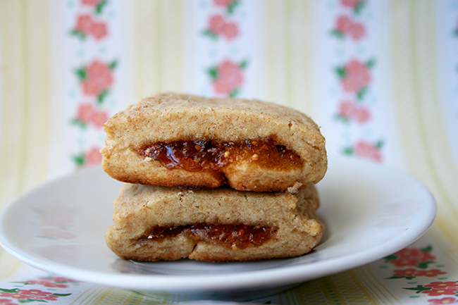 Fig newtons