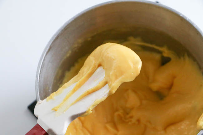 Thickened Pudding | Erin Gardner
