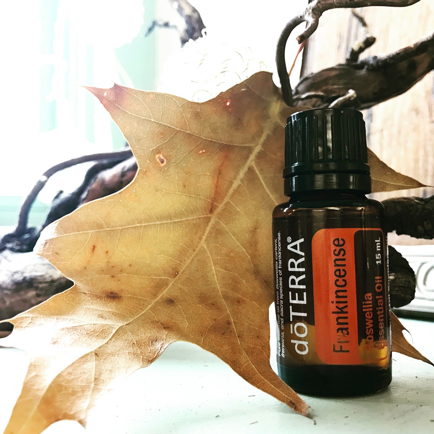 Frankincense Essential Oil