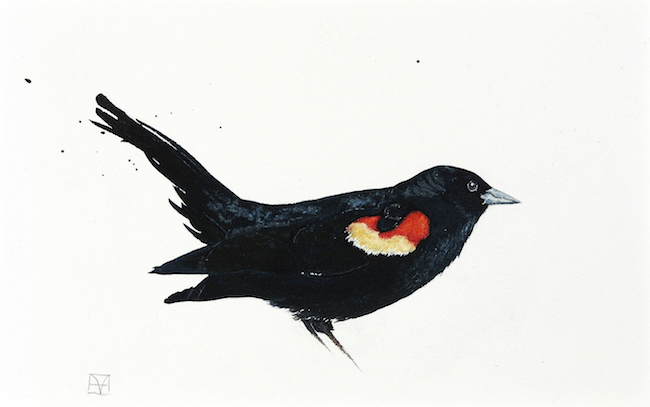 Blackbird painting