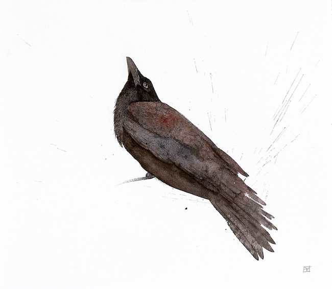 Blackbird Painting