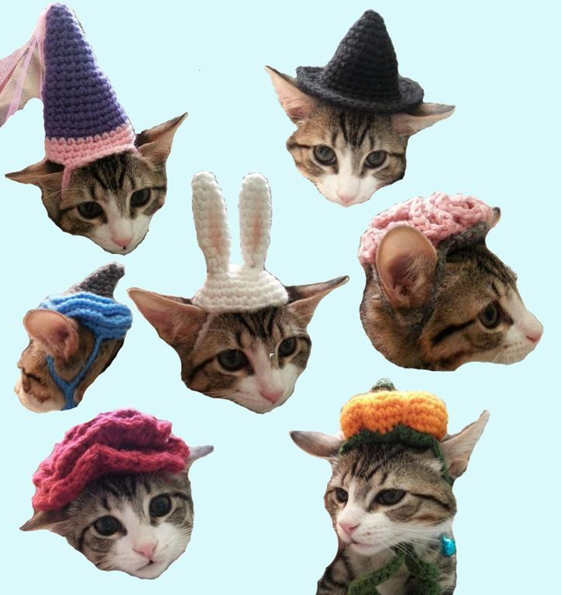 cat hat crochet patterns