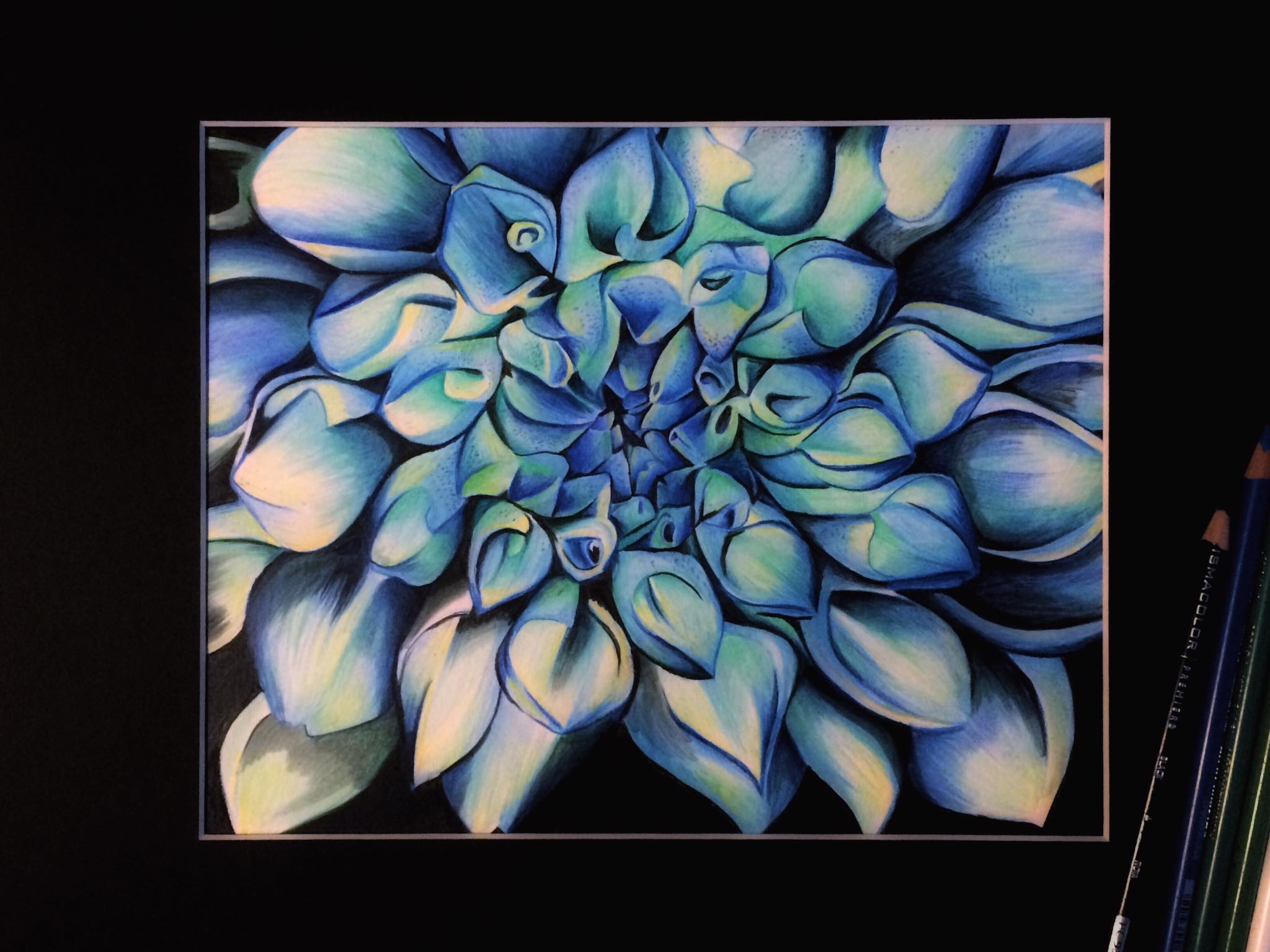 Dahlia Colored Pencil Drawing