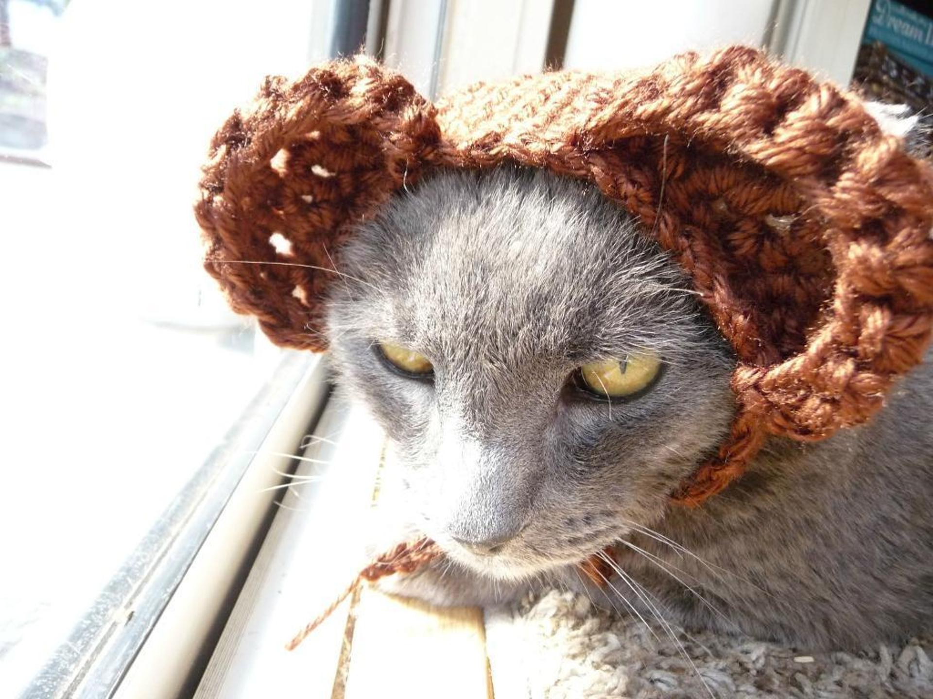 crochet bear ears cat hat