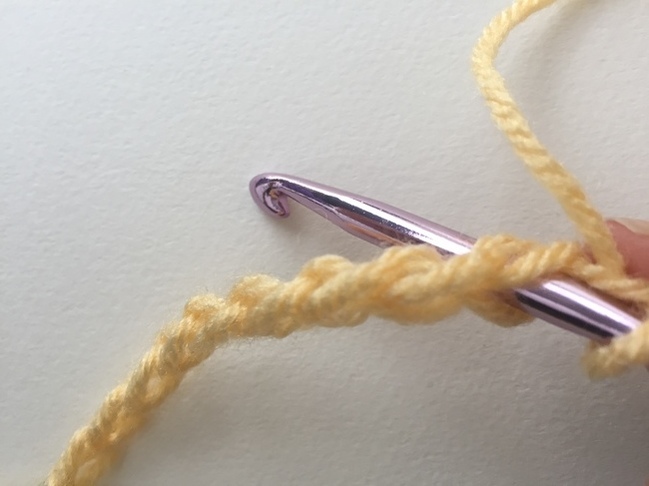 Crochet hook through both loops of chain