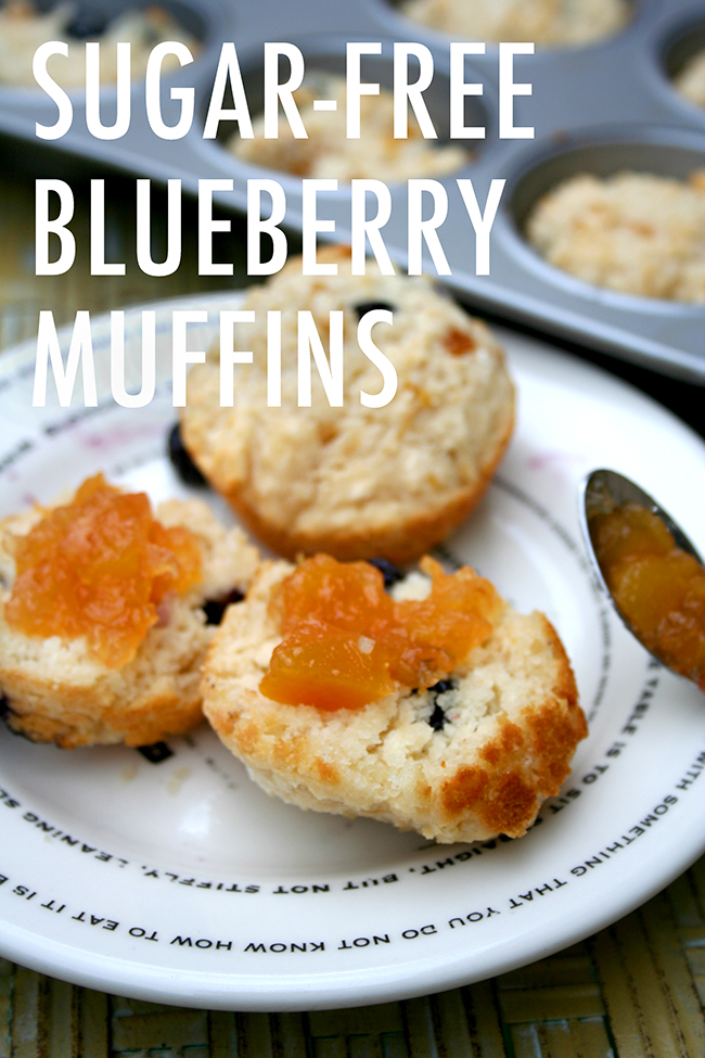 Sugar free muffins
