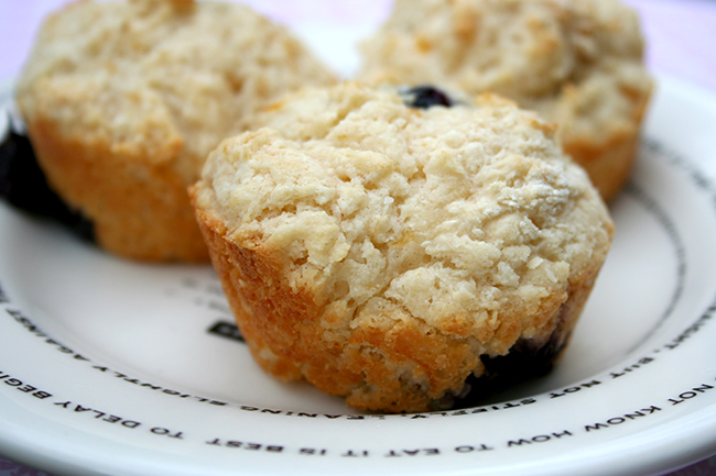 Sugar free blueberry muffins