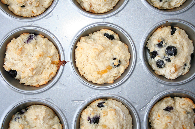 Just baked muffins