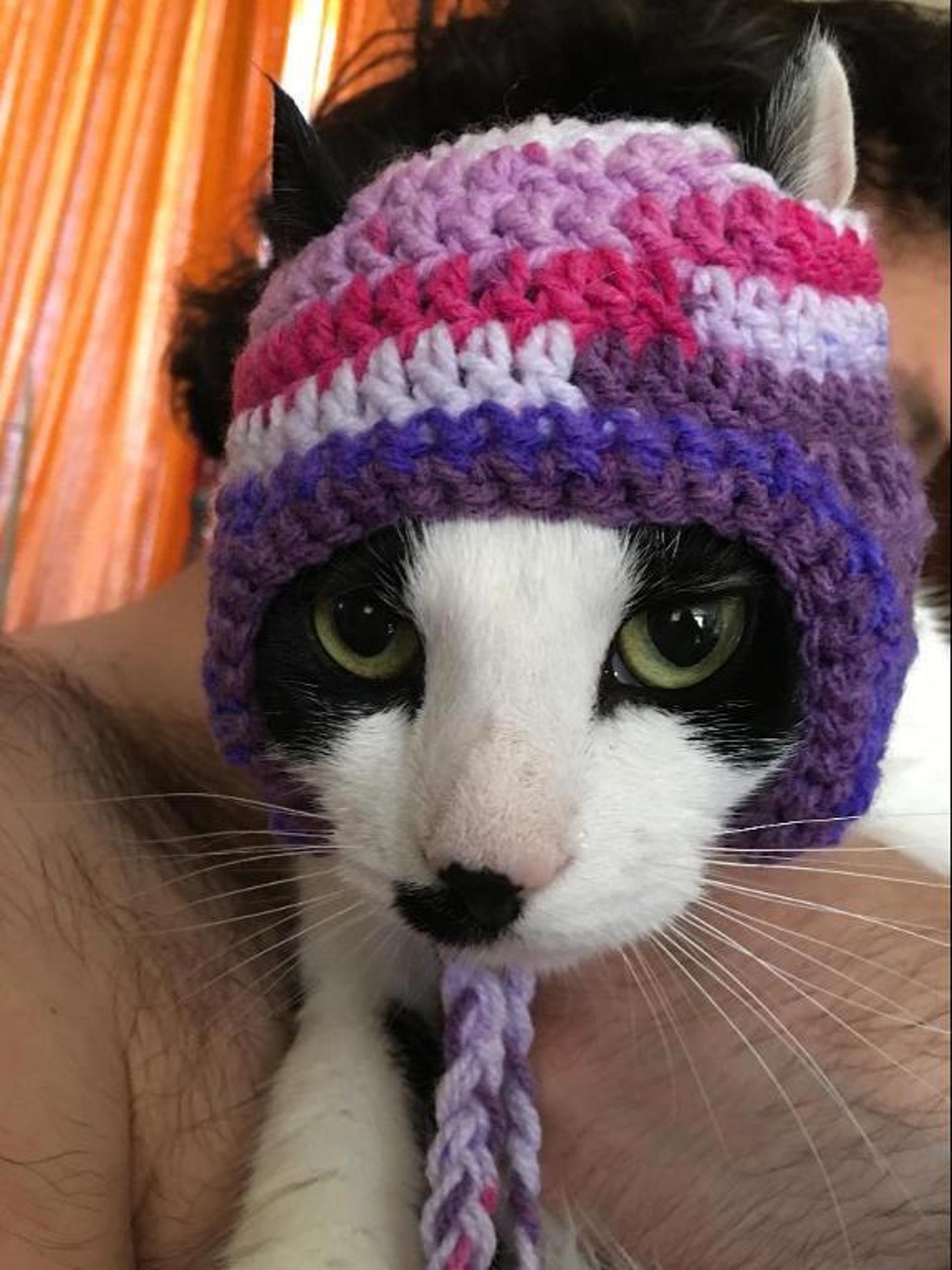 quick crochet cat hat pattern