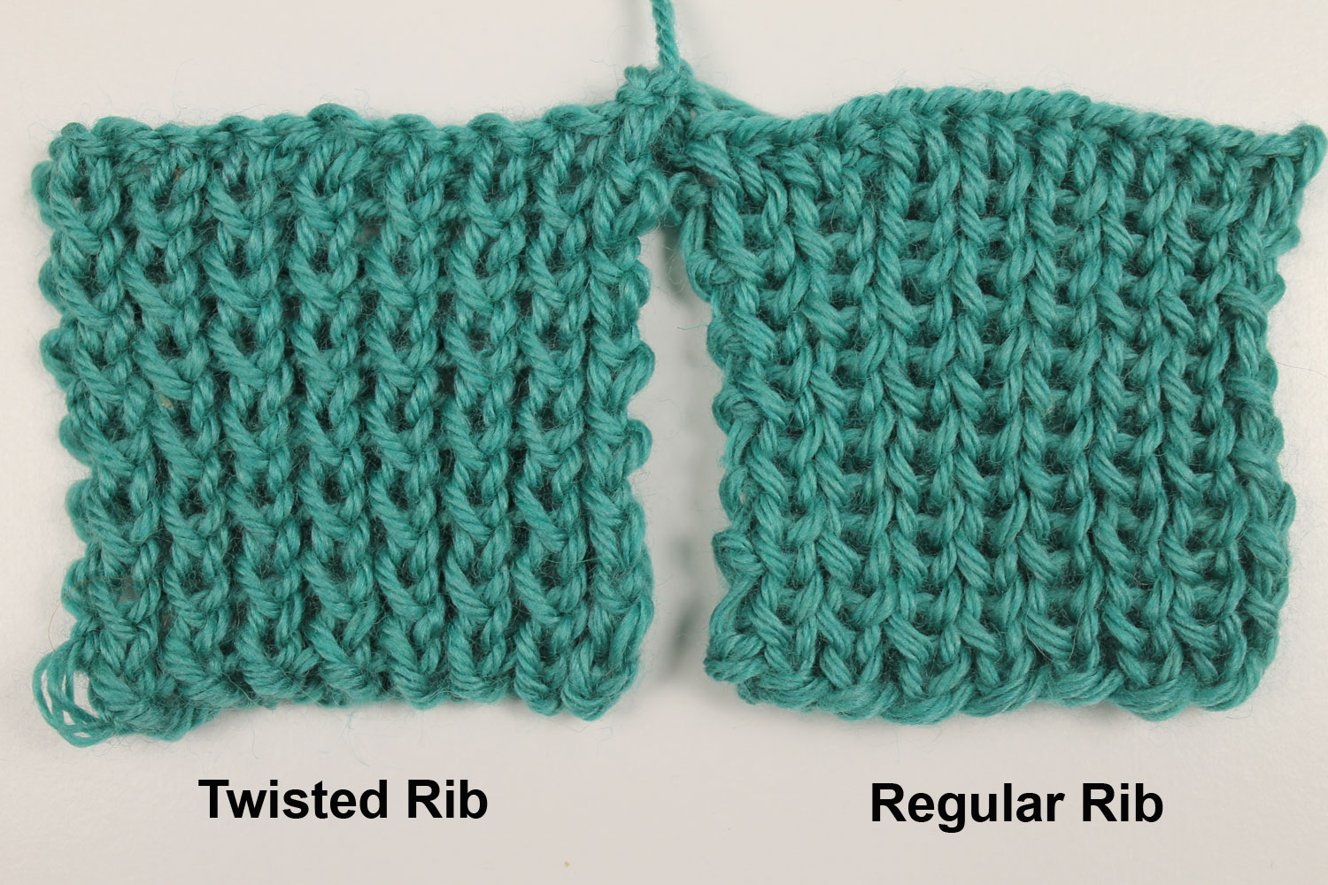 Regular Rib and Twisted Rib