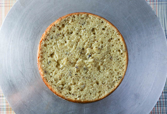 Leveled Hazelnut Cake | Erin Gardner