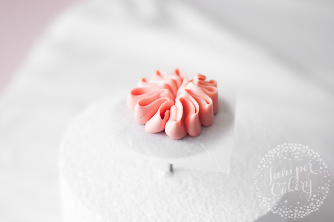 Pipe a buttercream Juliet rose