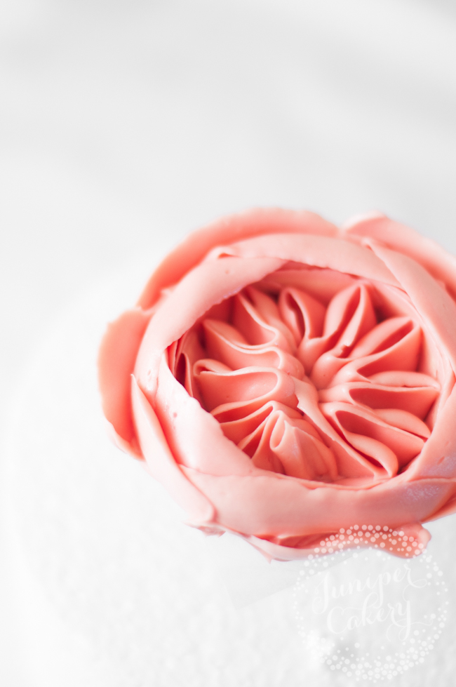 Step by step tutorial for a buttercream Juliet rose