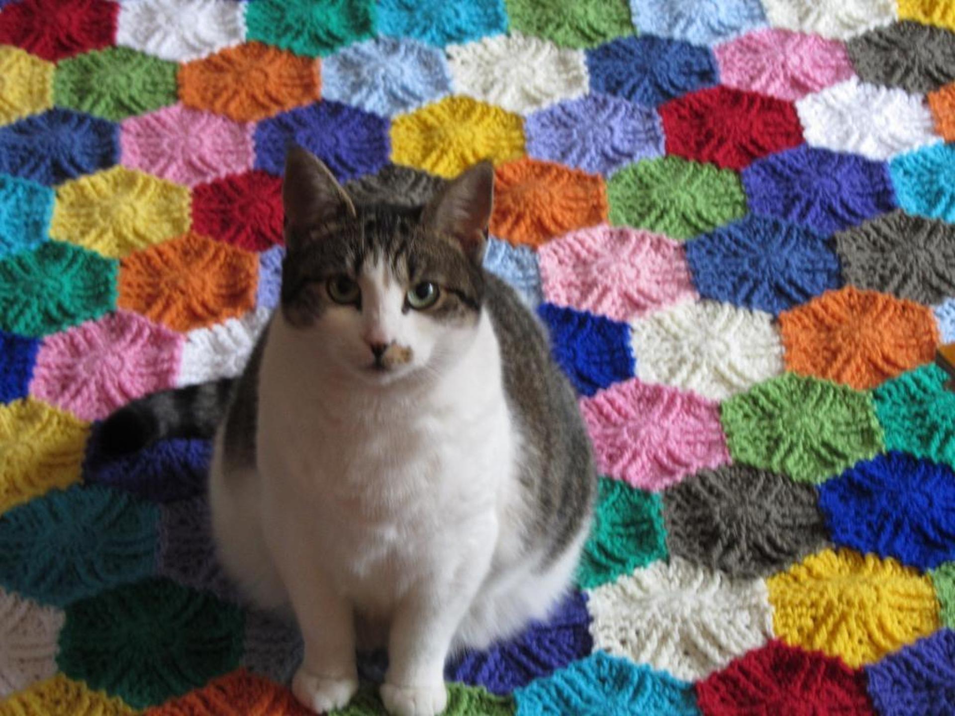 hidden triangles blanket crochet pattern