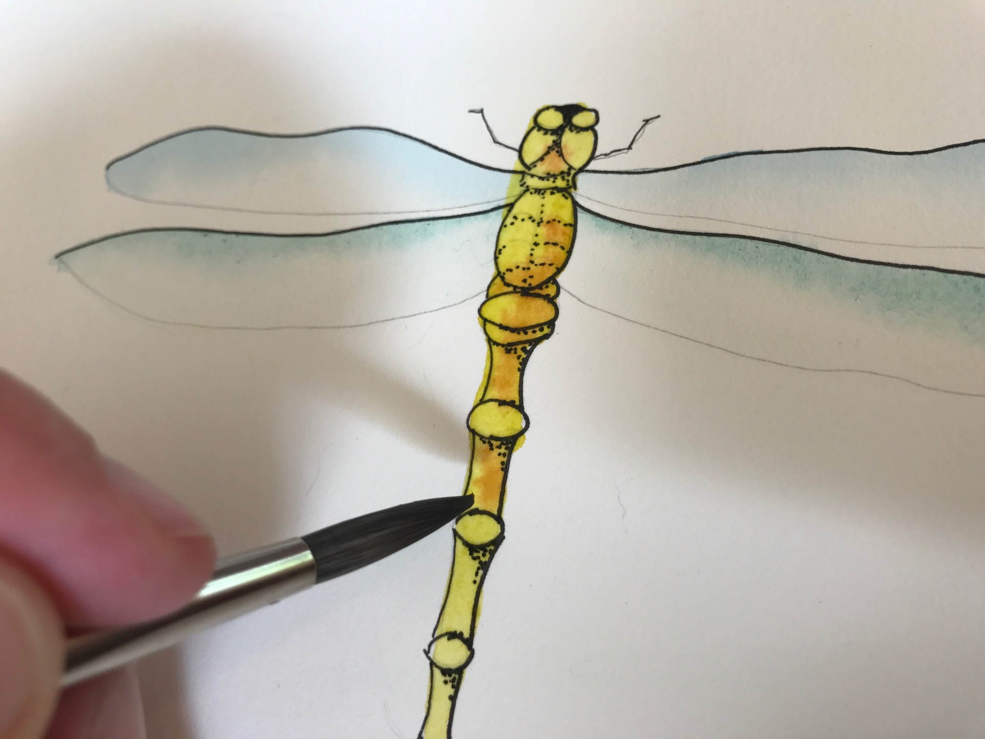 painting the body of dragonfly