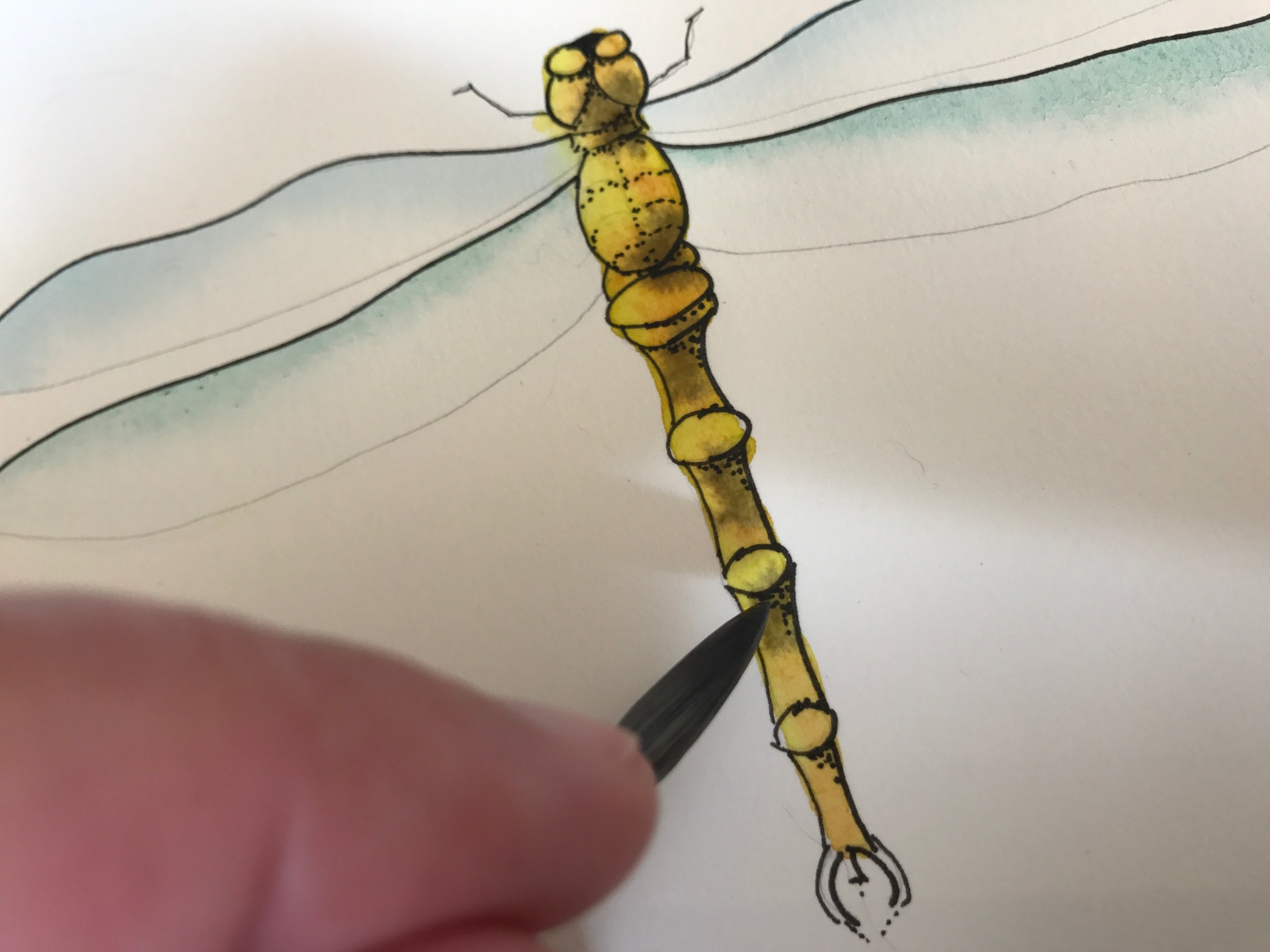 painting the body of dragonfly