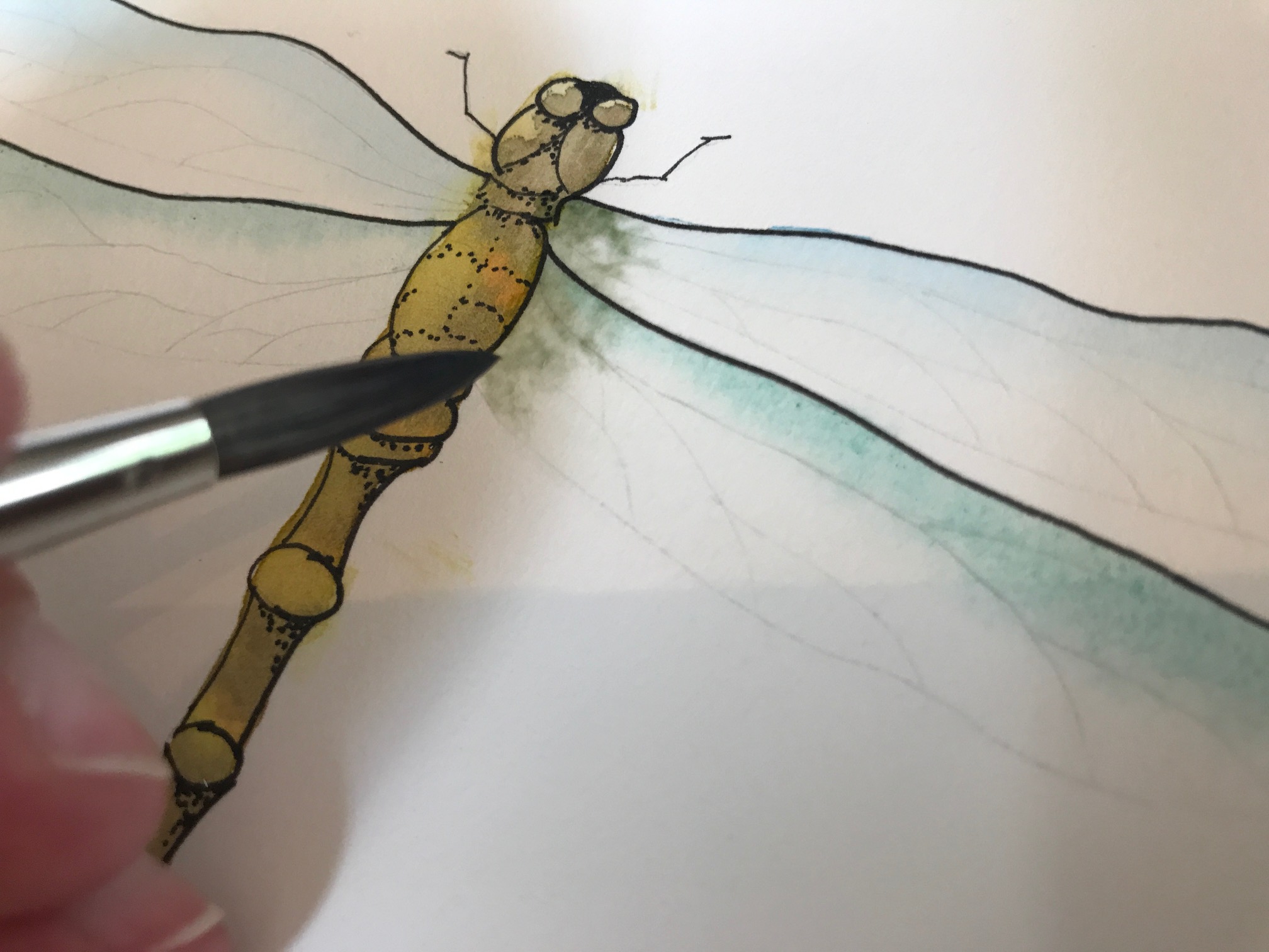 filling in dragonfly with watercolors 
