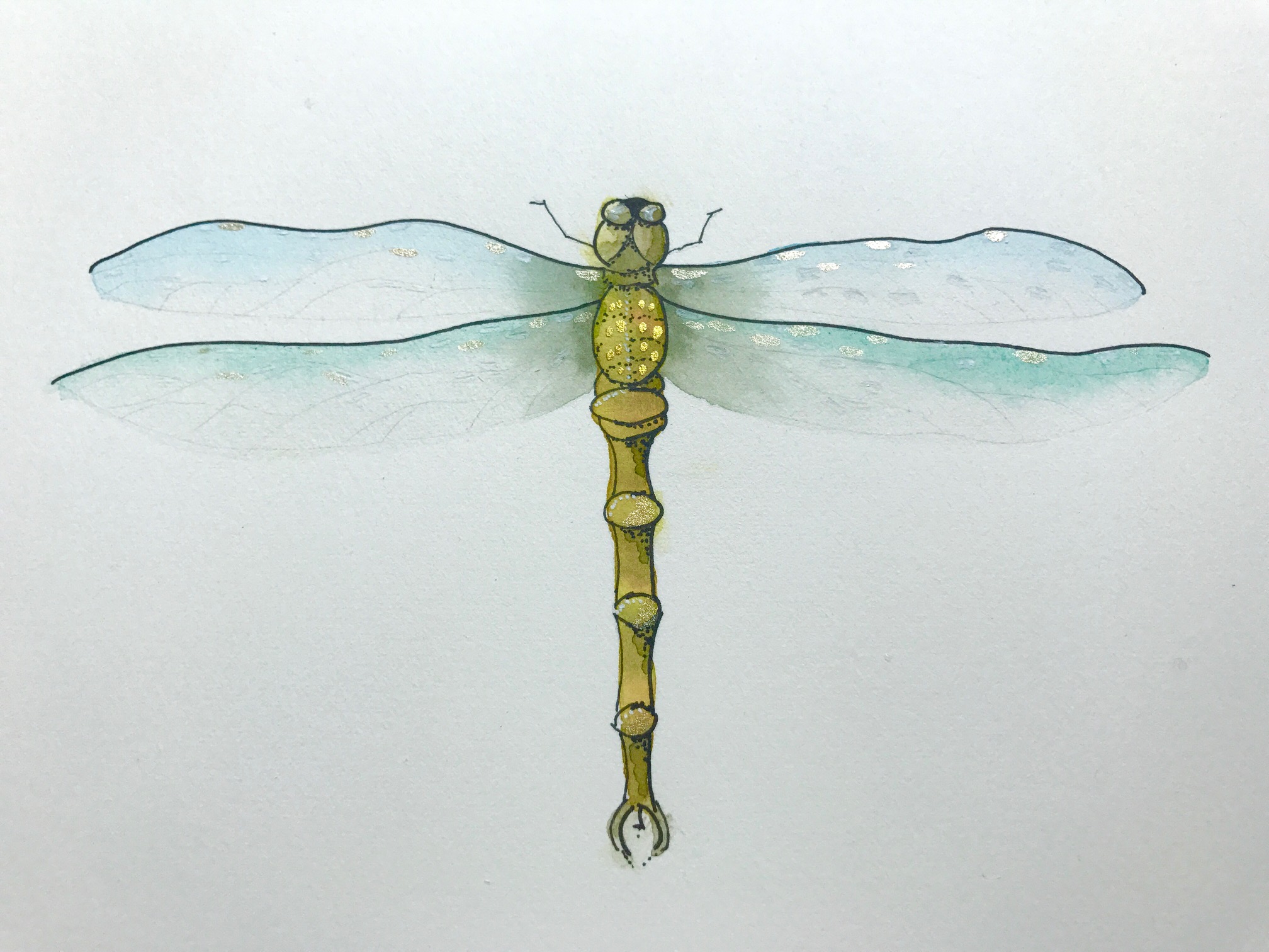 finished dragonfly watercolor painting