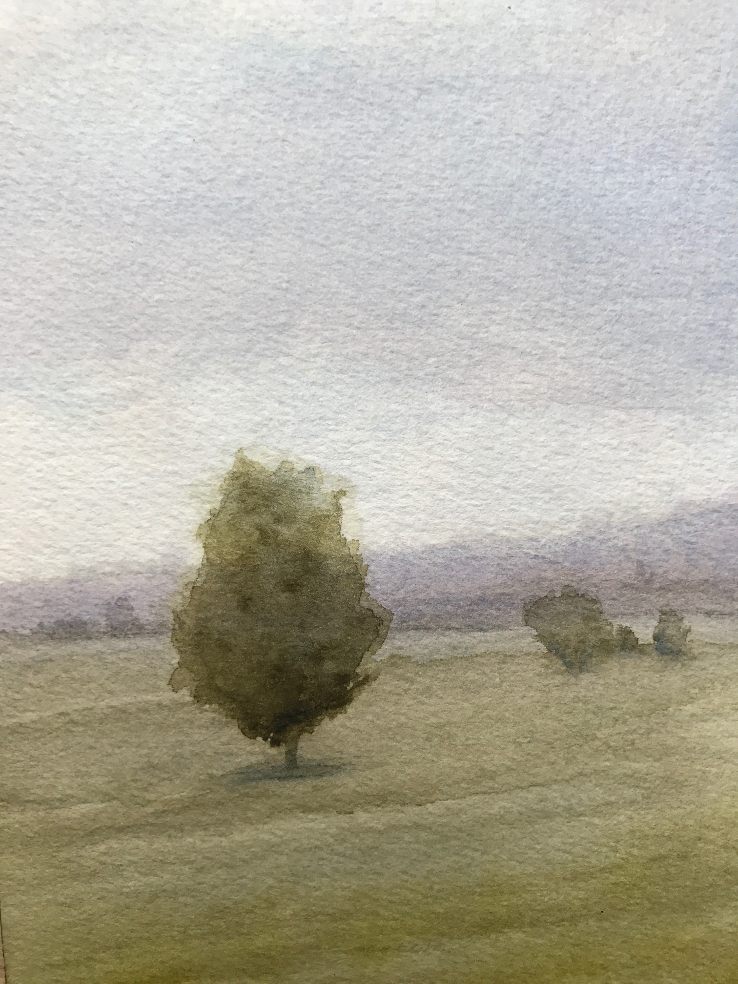 Landscape Painting with Gray Sky