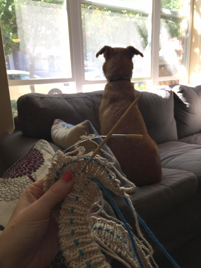 Broken Knitting and Dog