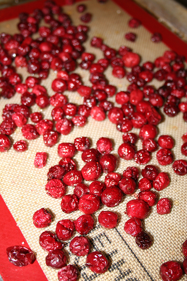 Dried cranberries 