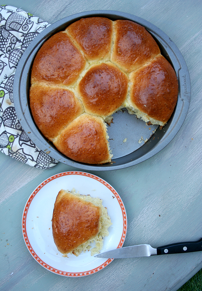 Japanese milk bread rolls 