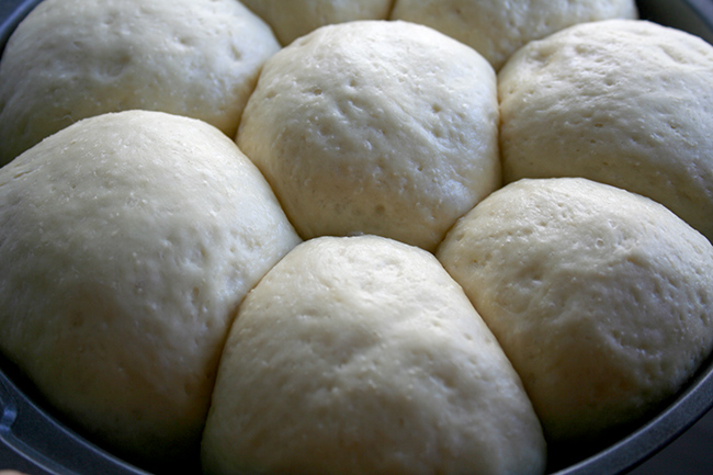 Risen rolls in cake pan